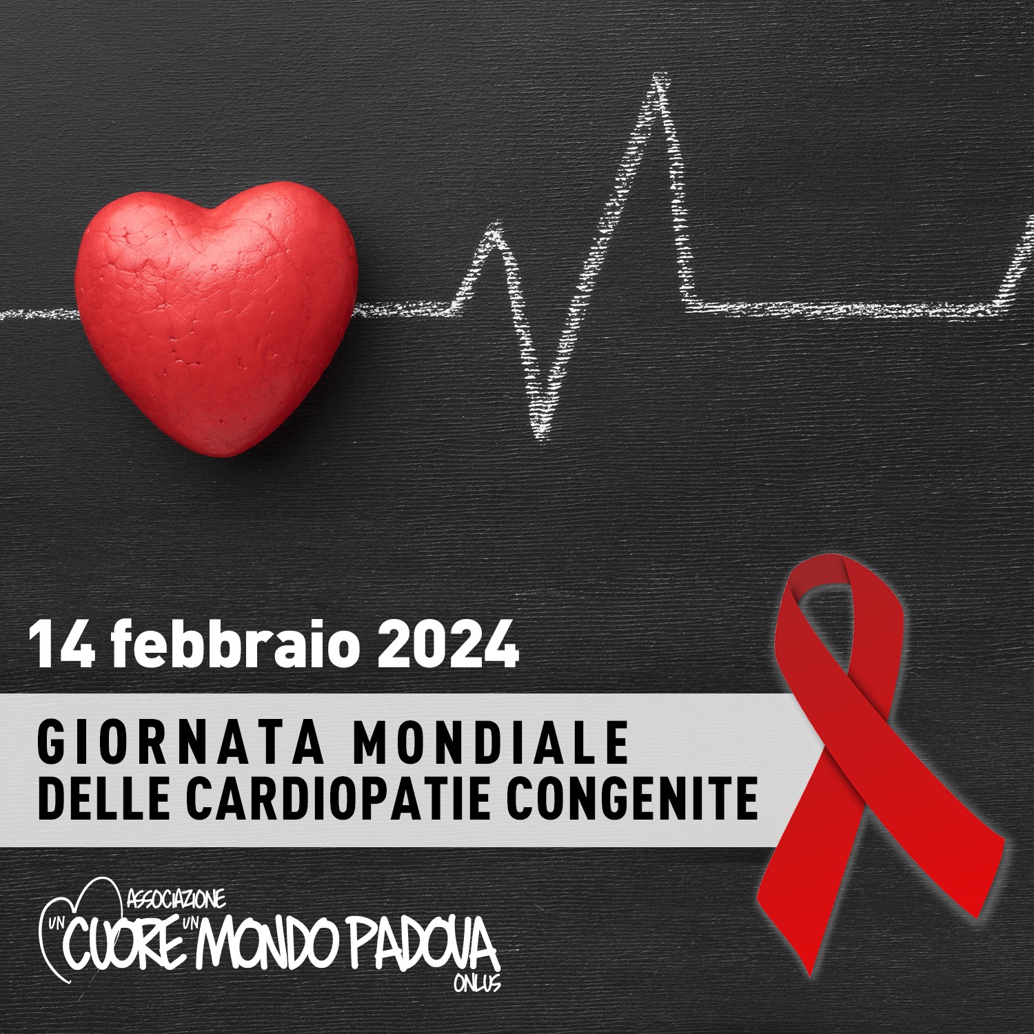 14 febbraio 2024: giornata mondiale delle cardiopatie congenite